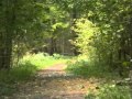 Рыцарь Диких Яблок - Дом 