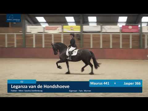 Livestream IBOP 26 februari 2021