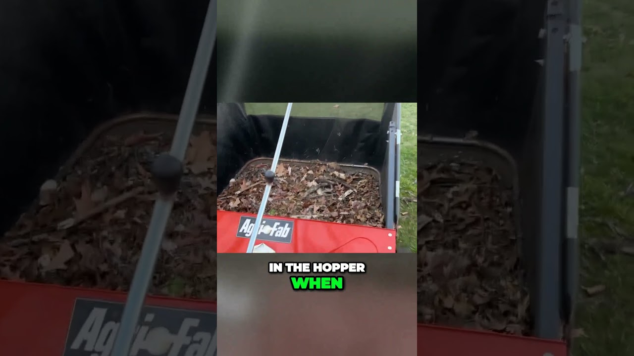 Mastering Lawn Cleaning  Sweep Away Sticks and Leaves Like a Pro!