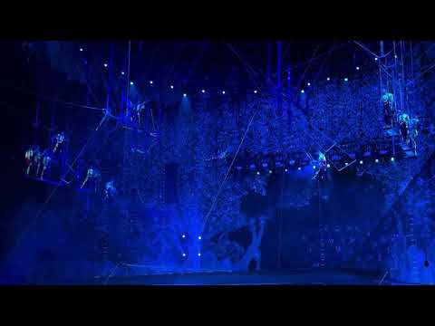 The Flying Cranes (Firebirds) 4 parallel flying trapeze Xiamen, China. 2024-2025