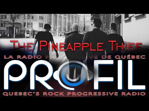 Profil Interview with The Pineapple Thief - August 2020 - Versions of the Truth - Bruce Soord