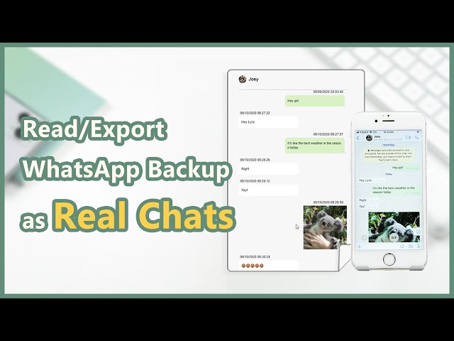 Export WhatsApp Chat - As Real Chats on Phone [Best Solution Ever]