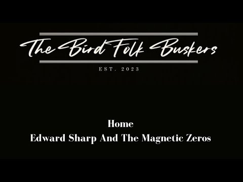 The BirdFolk Buskers- Home by Edward sharp & the Magnetic Zeros