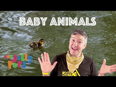The Jolly Pops - "Baby Animals" [Official Music Video]