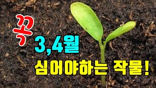 3월과 4월에 심을만한 텃밭작물 알아보기 / 주말농장 재배작목 / 채소심어보세요