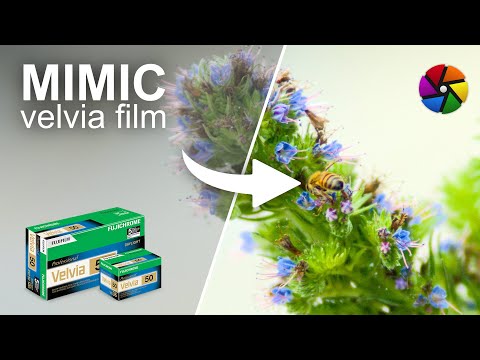 How to Make Your Photos Look Like Film (Darktable Velvia Module)