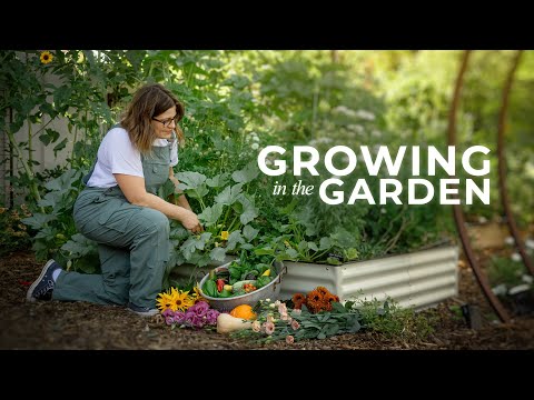 Master Gardener Reveals Her Favorite Tips | PARAGRAPHIC