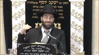 הרב משה יוסף • דיני טלית שאולה