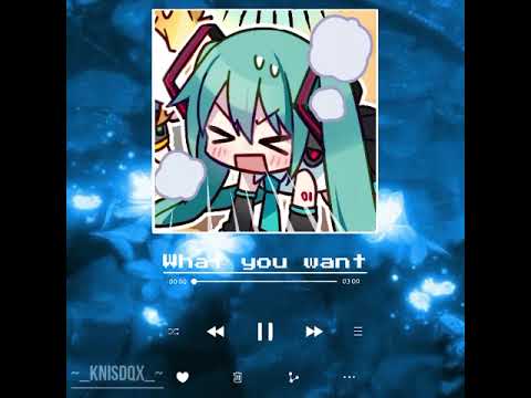 ~WHAT YOU WANT!~ - ^Feat.Hatsune Miku.^