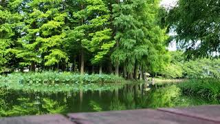 とても癒やされる公園！！ジブリ映画にでてきそう！！