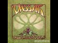 "Vassar" [1980] - Vassar Clements Band