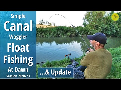 Simple Canal Float Fishing On The Waggler At Dawn & Update - 20/8/23 (Video 428)