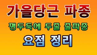 [텃밭농부. 1,205]  가을당근 파종하기. 두줄 줄파종의 요점정리 #당근재배
