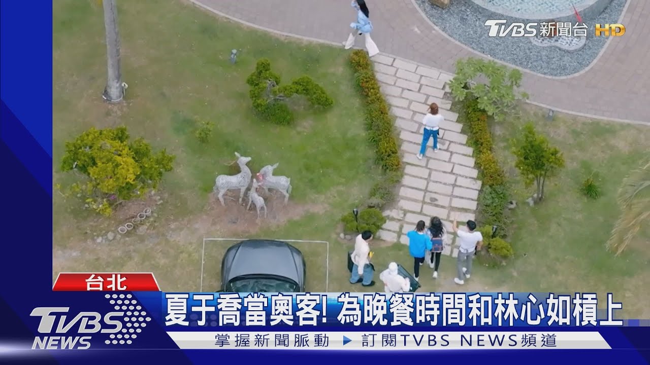 《光開門就很忙了》來囉!寵物民宿床位喬不定 夏于喬當奧客槓林心如