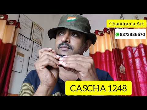CASCHA 1248 Chromatic Harmonica