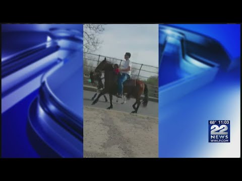 Is it legal to ride horses on public roads in Massachusetts?