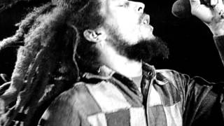 Bob Marley &amp; The Wailers - Trench Town Rock ( Life at the Roxy Theatre )