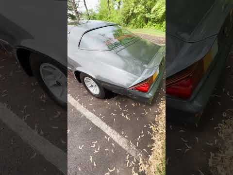 1981 Chevrolet Camaro Z28 (CC-1851704) for sale in LANSDALE, Pennsylvania