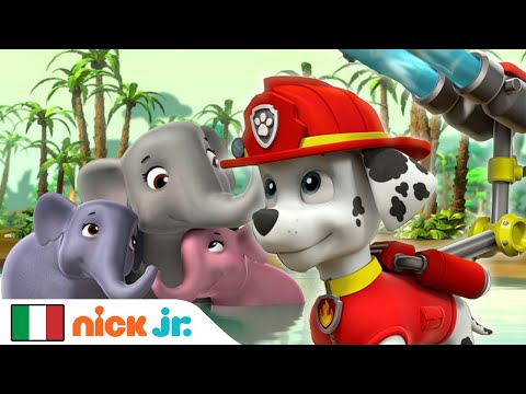 Paw Patrol - La Squadra dei Cuccioli | I Cuccioli sono in missione per salvare un elefante!