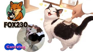 【CatsVlog】ブラッシング大好き猫組 #猫動画 #可愛い猫 #保護猫