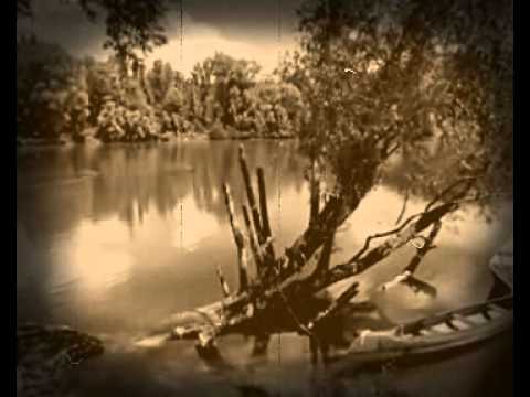 Zeljko Sesvecan - Ma ne pijem sto se meni pije