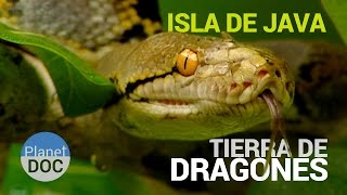 preview picture of video 'Isla de Java [Indonesia]. Tierra de Dragones | Naturaleza - Planet Doc'