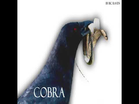 COBRA ALBUM - MI MORENA