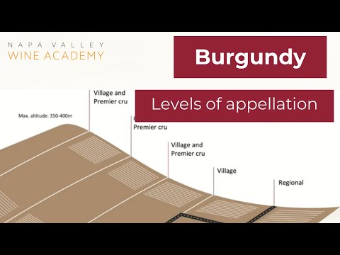 Burgundy appellations - Burgundy Masterclass with Père & Fils - Napa Valley Wine Academy