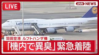 Download lagu 【ライブ】ルフトハンザ機 羽田空港に緊急着陸 ｢機内で異臭がする｣【LIVE】 (2026年7月22日) ANN/テレ朝 mp3