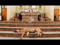 Why Did A Stray Dog Join This Priest On The Altar During Mass
