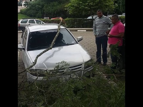Galho de Árvore cai em cima de carro e assusta Vereador Chiquinho