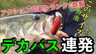 【エギング動画】日本海丹後エリアで爆釣！！～エギングステップアップの秘訣～