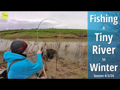 Wonderful Winter Fishing On A Small River With Bread & Worms - Roving For Bites - 4/3/24 (Video 478)