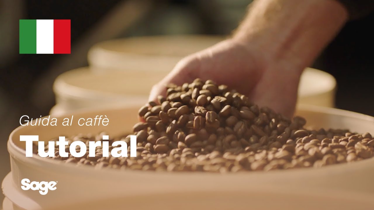Tutorial Guida al caffè Breville - Scegliere i chicchi giusti