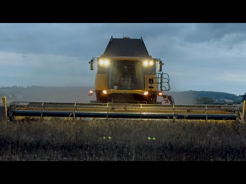 FARM UPDATE 181 HARVEST SPRING BEANS, LEG IS SCANNED, MOVE BARLEY