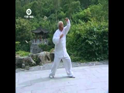 Wu Tai Chi - Forma 46