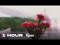 1 HOUR Jacob And The Stone Emile Mosseri Slowed Reverb
