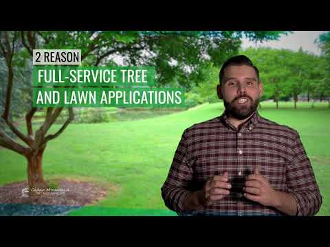 Cedar Mountain Tree & Lawn Care - Customer Success Story