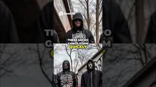 Download lagu Micro Gangs How They Form and Disappear Fast mp3