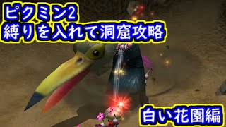 【switch】ピクミン2 大量の縛りを入れて全ての洞窟を攻略する 白い花園編 縛り内容概要欄