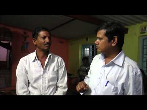Grapes Organic Farming Biofertilizer