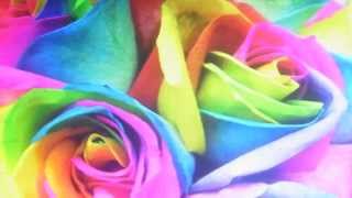 LOGUE and McCOOL &#39;RAINBOWS and ROSES&#39;1991 (a Vern Gosdin song)