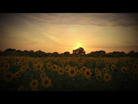 Scottish Dance No. 3 Arnold