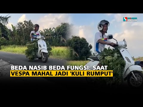 Beda Nasib Beda Fungsi: Saat Vespa Mahal Jadi 'Kuli Rumput'