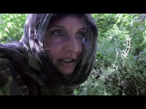 Eine Hölle der Pelztiere liegt in Polen