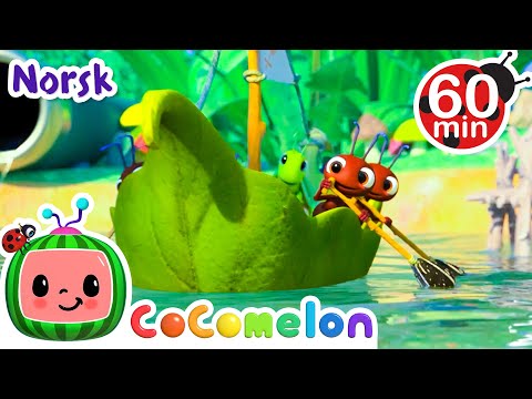 Ro, ro, ro din båt | Vuggesanger for Babyer | CoComelon Norsk