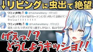 リビングに虫が出たときの話をするラミィちゃん【雪花ラミィ 切り抜き／ホロライブ】