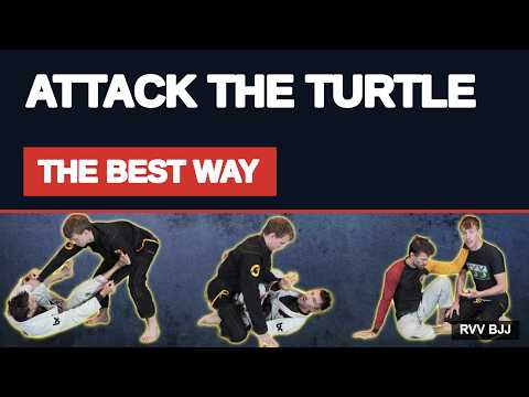 The Best Way To Attack The Turtle Position thumbnail