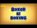 Motu Patlu Boxer Ki Boxing