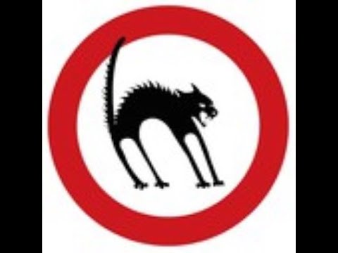 Černá Kočka - Kočka COVID stream 15 4 2020